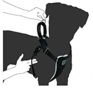 CANINE EQUIPMENT 3/4" No Pull Harness Medium Black